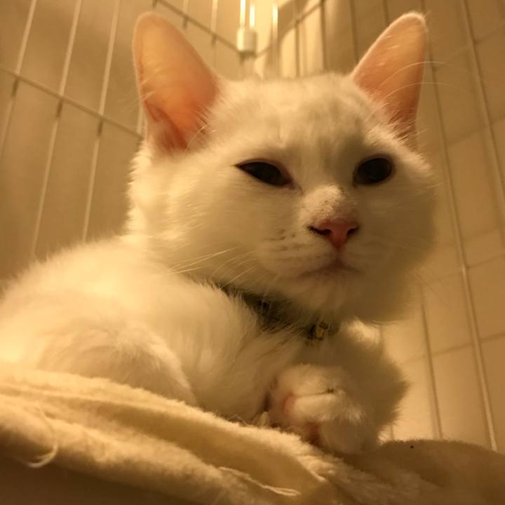 05b11ff6 f4ea 4493 b475 4bc97dd85b09 1509022020101