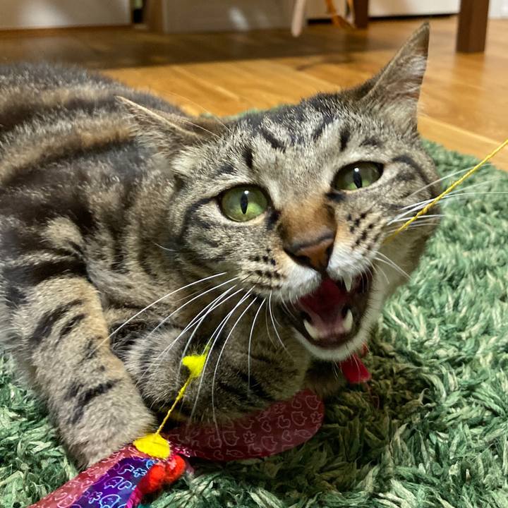 05b12438 7821 4963 a584 501bb7e4b7a2 1592716432748