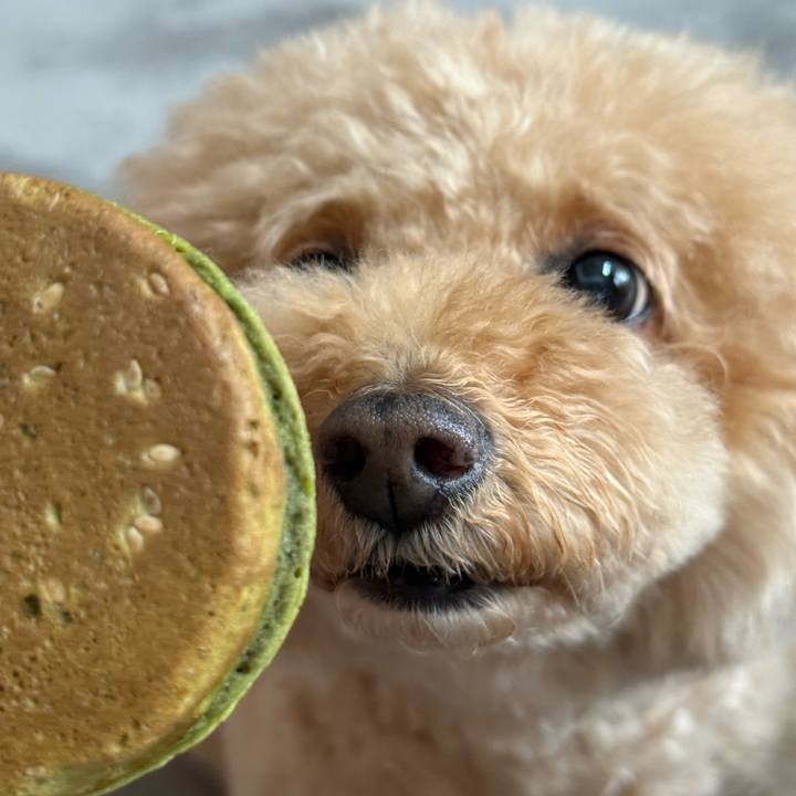 05b12ac0 cc56 4349 b47c c087e803de71 1761365369539