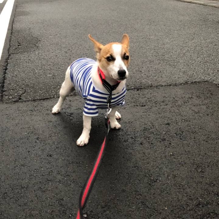 05b131a8 6bb4 4dbb 954f 1ecd6b687f05 1562988585920