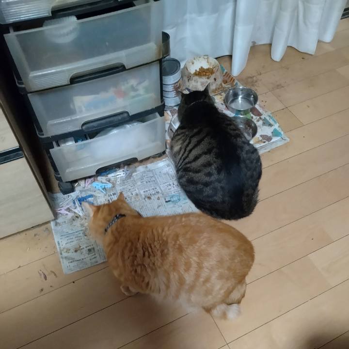 05b1415e 0da5 4cd2 9cb7 371f52b24b2b 1696498118444