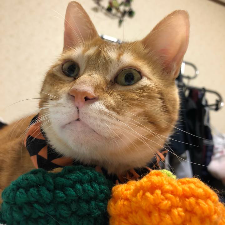 05b17415 a799 4e47 9599 f8bded7a8e18 1572267695962