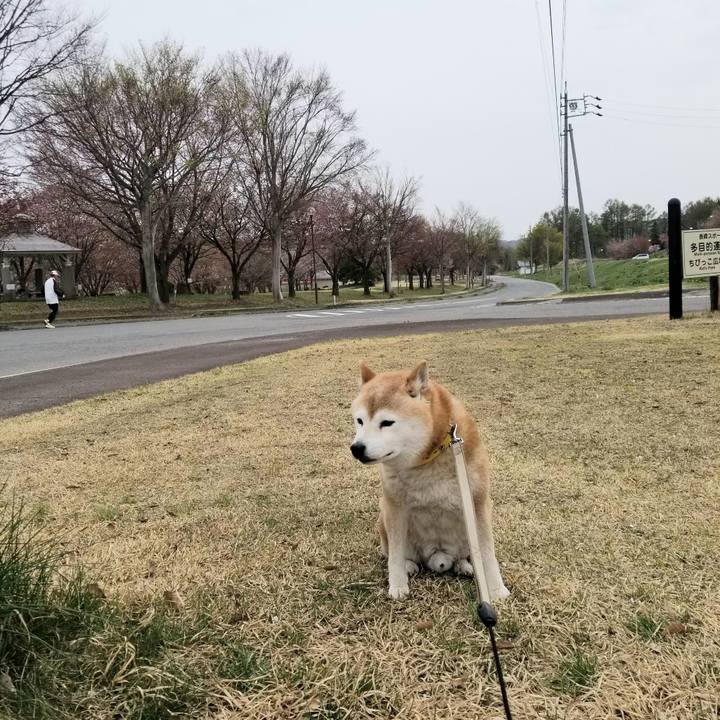 05b17ed7 c535 4f53 af75 910fa6955187 1681455932406