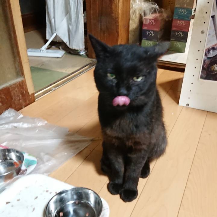 05b1df6c 75d5 42df a8a2 826a386a731a 1625742972267