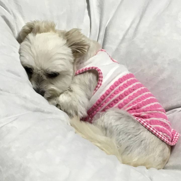 05b1e4a2 2532 44ce ba71 416a532dc25b 1539863510557