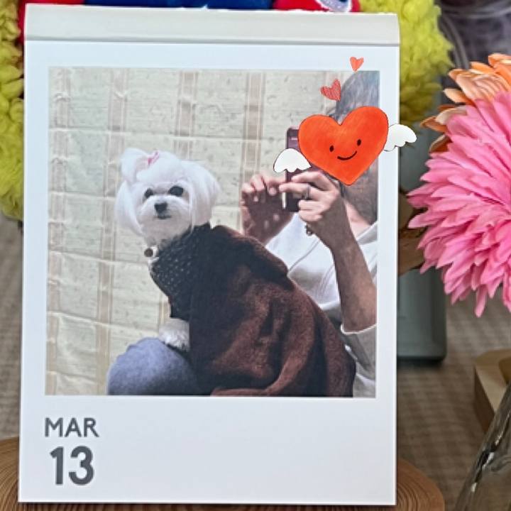 05b1e637 2dd3 4142 8b35 9168cbaa3eea 1773540676097