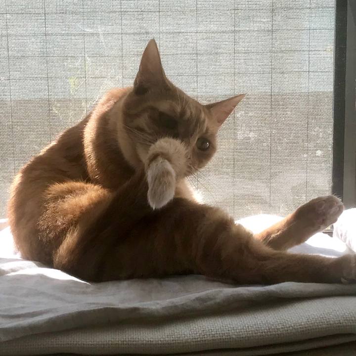 05b1f5ee a232 434a 8a5f 98b3e259c994 1552569254941