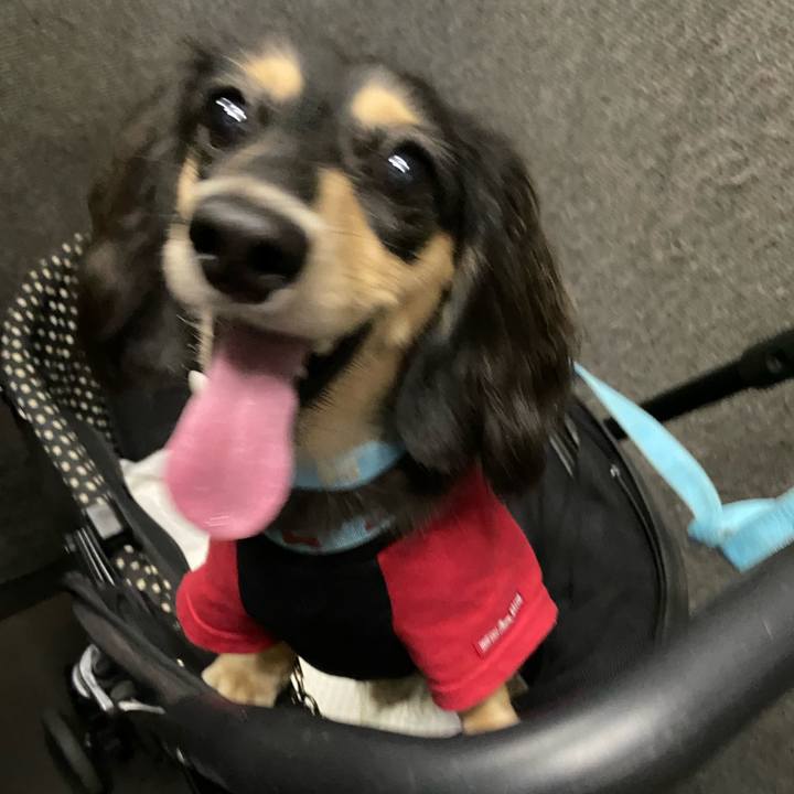 05b2436a 603b 4636 9271 62a7f1ece66e 1696146728847