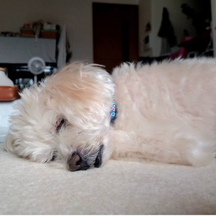 05b2b8c8 38ca 40e2 b962 9fa97017a8b3 1726273713207