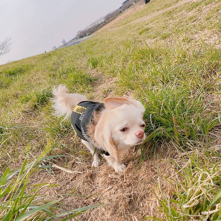 05b2de2e 86ab 4811 a015 07841a7f56aa 1614849838758