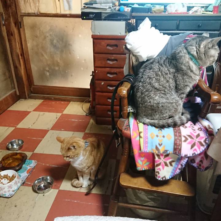 05b301c2 3ea6 46ce a5db 6f83177254d9 1574246134113