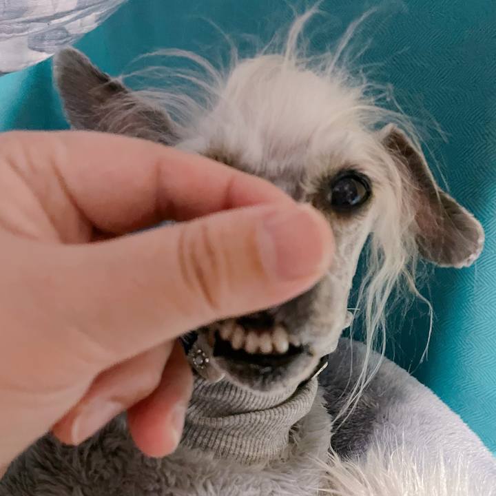 05b3364e ef4e 4855 a129 4ddd17ebfdda 1767017625985