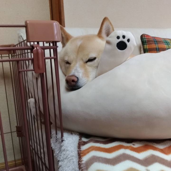 05b35527 32b8 4605 a303 f0695e85a690 1586607825755