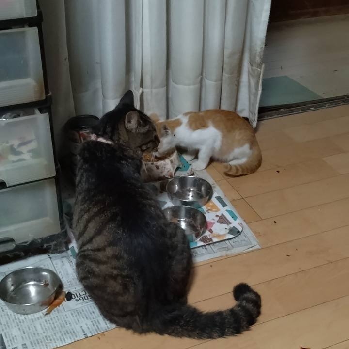 05b3557e 0ac1 4010 a771 3843c10c419b 1725102615217