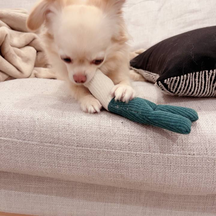 05b3779d 2438 4310 9a61 b94e51476546 1718838511532