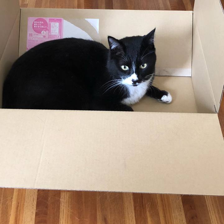 05b38ee5 2df8 4ccb b4ce de8f560ee417 1621568563305