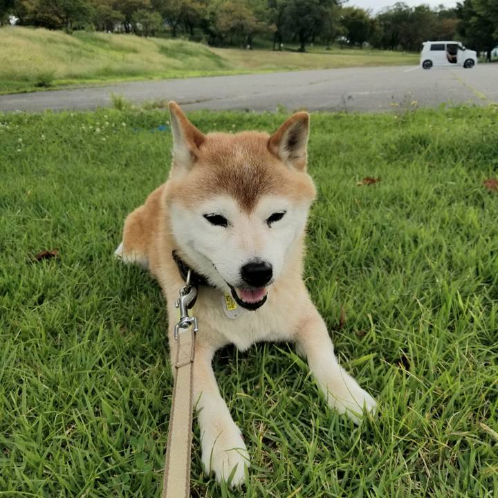 05b3a50c 8660 4a07 812c aa779911130d 1661990870996