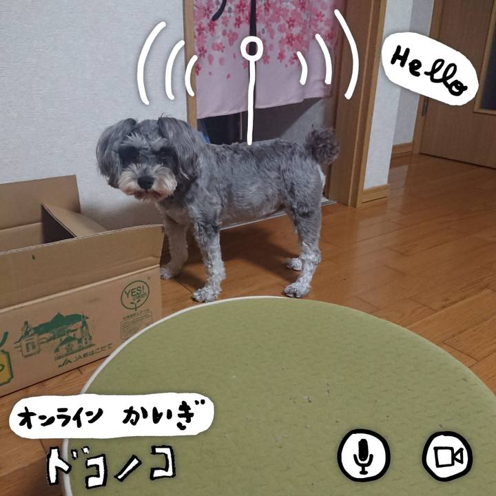 05b3c959 36f1 47bc afee b00ccf568693 1590756088806