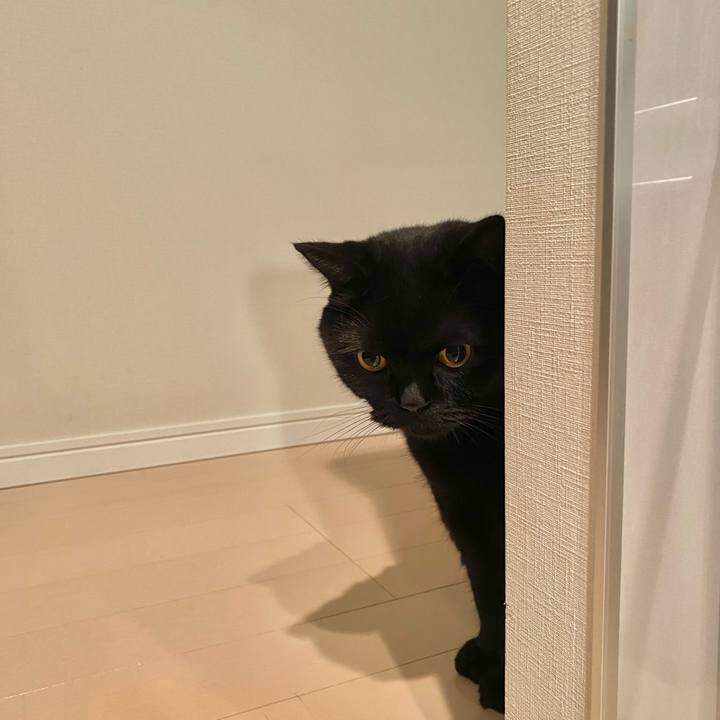 05b3d992 b09e 4c5c ba4e 6b4e5b2d194e 1727271606053