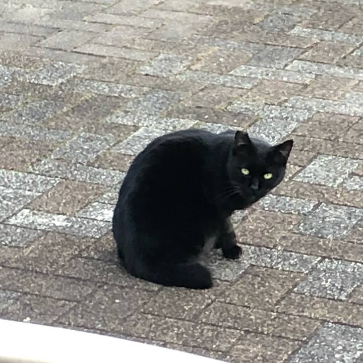 05b3e891 5138 41a4 9fcf 3a801b0300d0 1643871784143