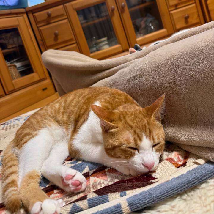 05b40c82 c65e 4a67 b7bc 53e9cccab31f 1763905127872