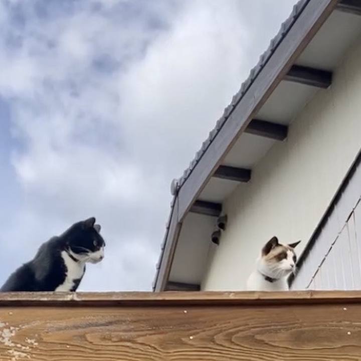 05b41a19 7299 4939 9c20 6bdc2268c842 1734811398938