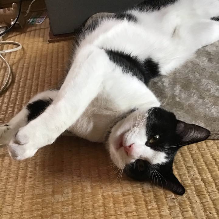 05b450ea 788a 4cd3 8519 d55d78b70437 1655692067180