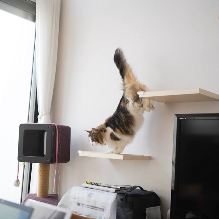 05b47311 373b 4e66 9811 ba65d863519d 1586922584143