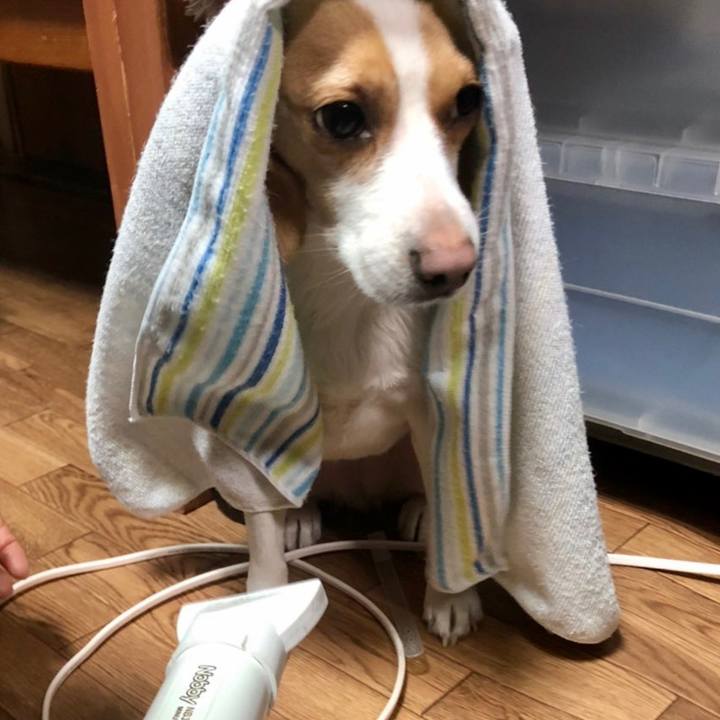 05b495ba dad4 4b09 81cc d37c66b716a7 1587536939887