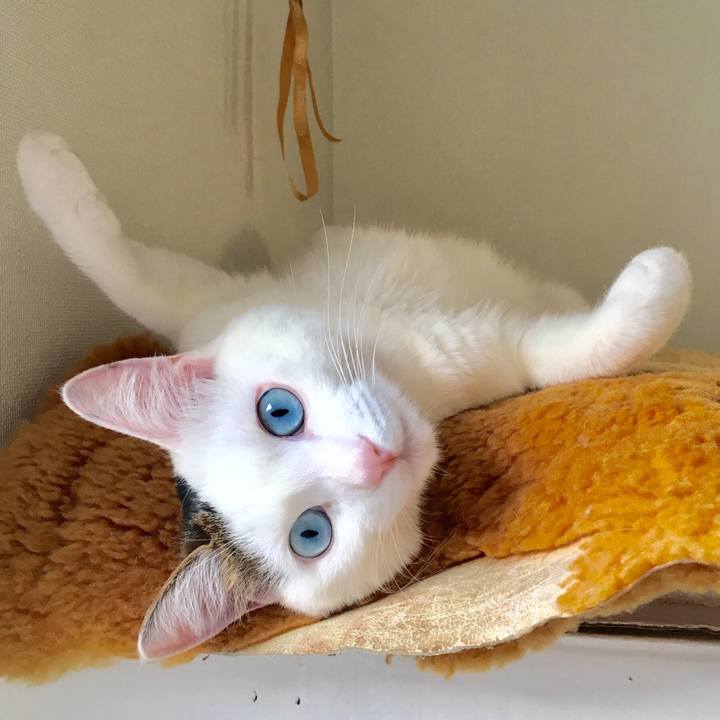 05b4db11 8c0b 4d25 a84e 914f2a3ff016 1519022733708