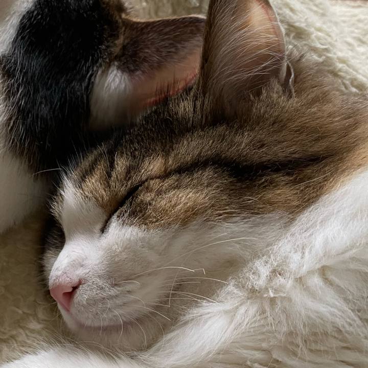 05b4e6b9 e649 49dd 96e5 b1d13525c72b 1668210134103