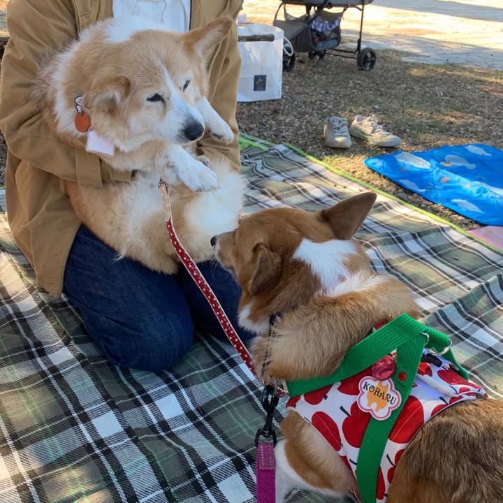 05b50123 62bf 4532 94a3 4520630d0719 1571395280498