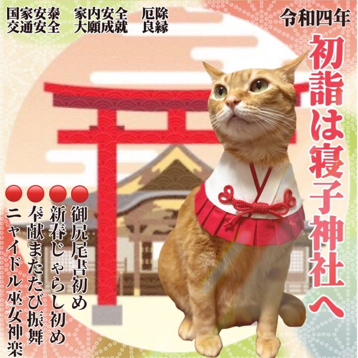 05b531a7 dafe 4211 8b66 98e0fe2acc13 1640991680282