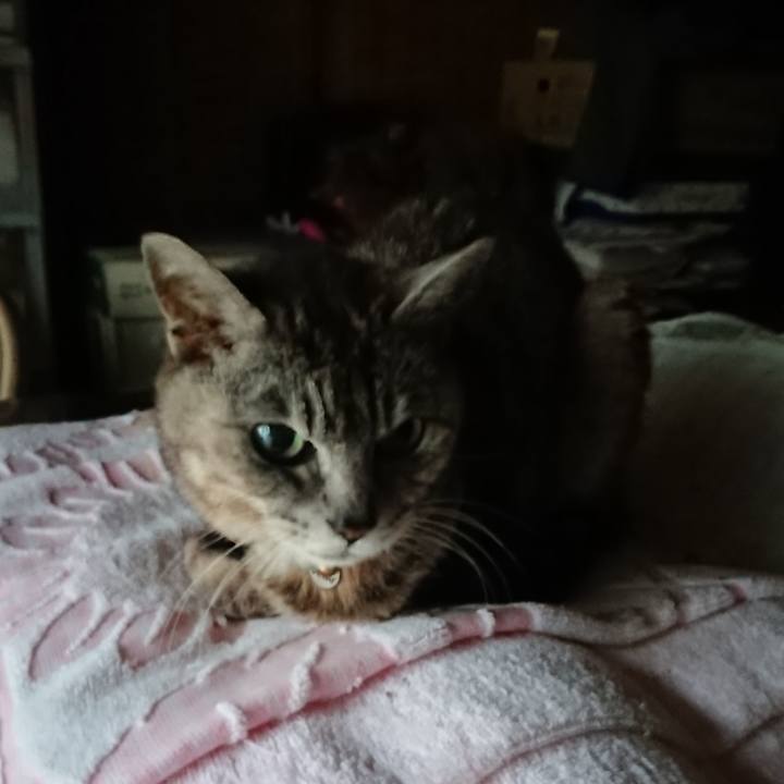 05b53485 5452 4f33 9622 21ae2694b5b3 1592508531794