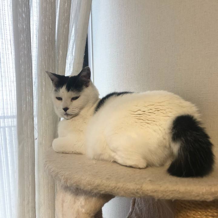 05b536e6 1441 4fa9 8cc1 75eef5bf2419 1576625615387