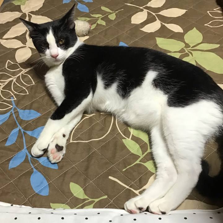 05b558c8 18c8 4cd3 a7af 507ad997e638 1633858591129