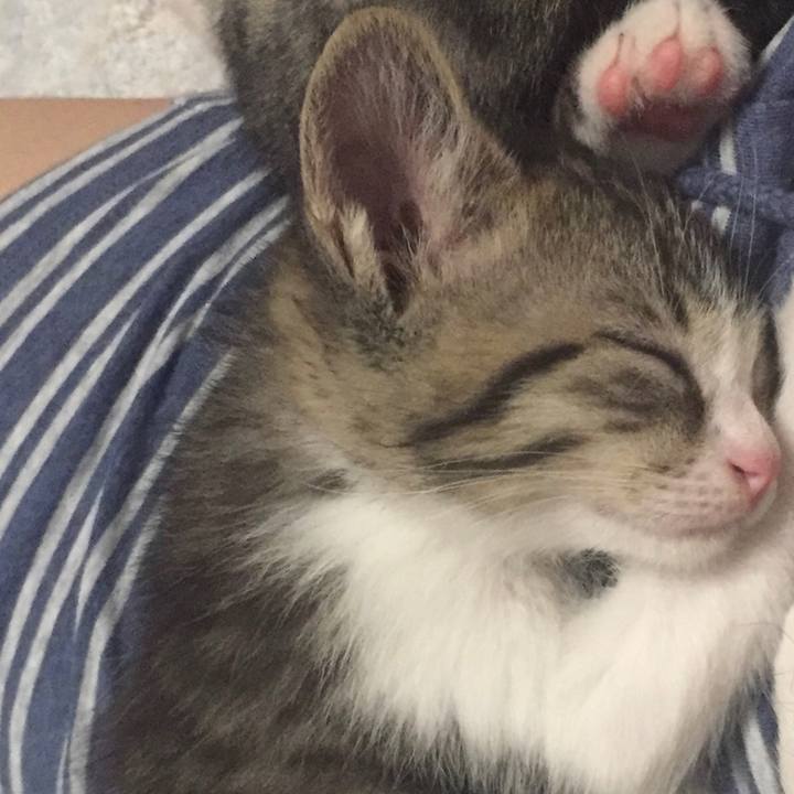 05b5732c 3fca 43f5 a499 a517aab0e71a 1656351410657