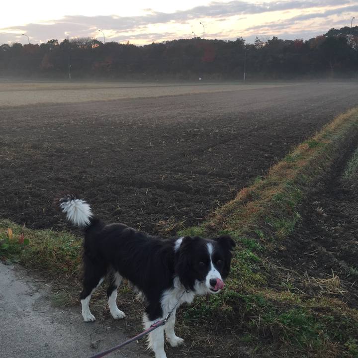 05b58038 2248 4269 ab59 8ce25759514e 1543702553348