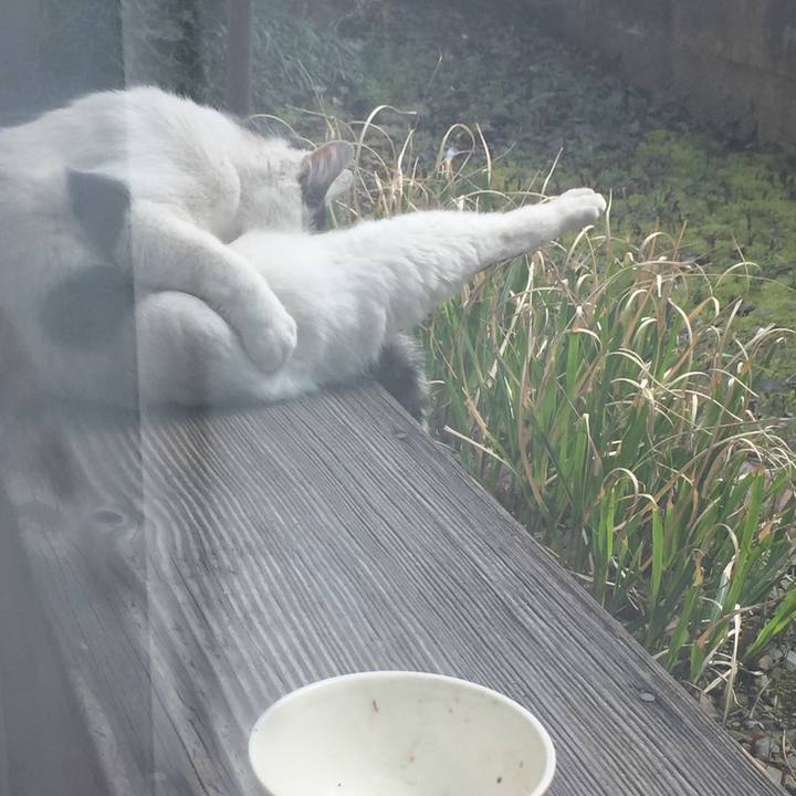 05b58c57 d9dd 4636 9348 a6782bf9aef3 1665503650302