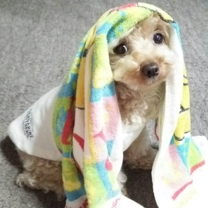 05b59fda a392 4a38 beac 2950fd42725d 1533816501561