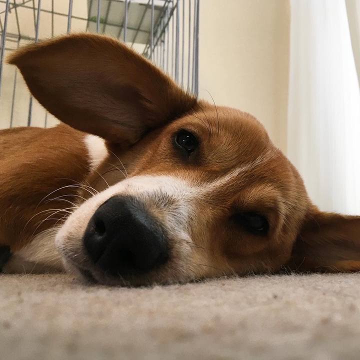 05b5a453 4beb 46b9 a601 192219dbf8ca 1597878918775