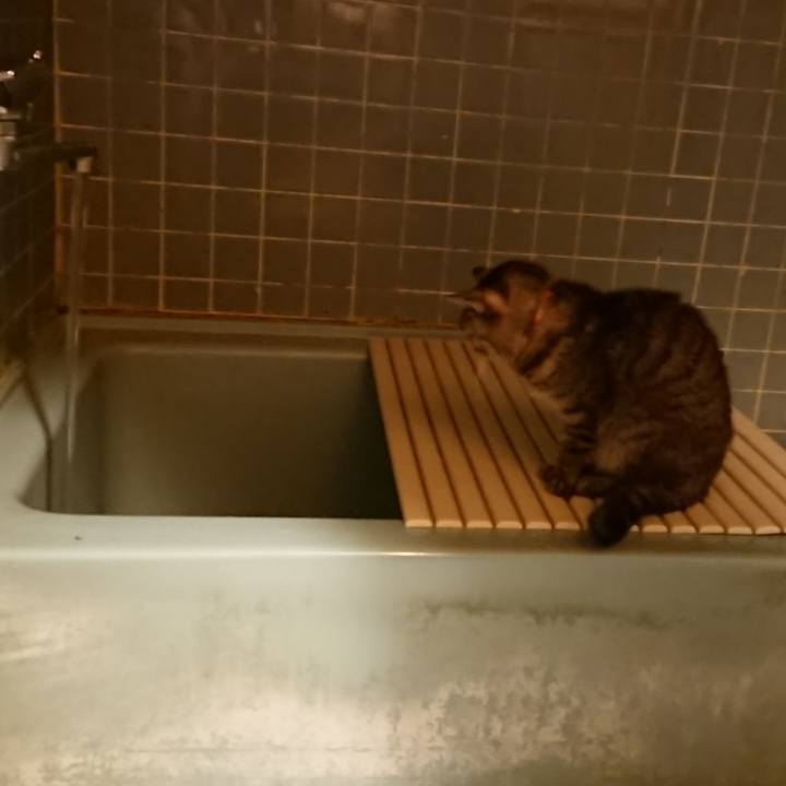 05b5a4dd 5f2c 48d1 84a5 e70fe9bb918f 1581325973561