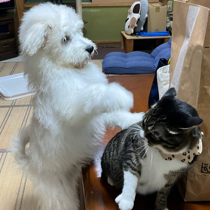 05b5eb6b 2f31 491d 8806 a639c6c4c585 1789426857395