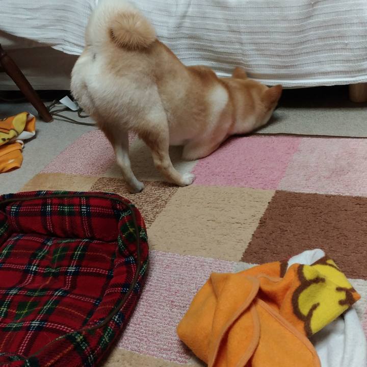 05b61f2b 516c 4e46 862a 738b9dc0d44f 1521199695392