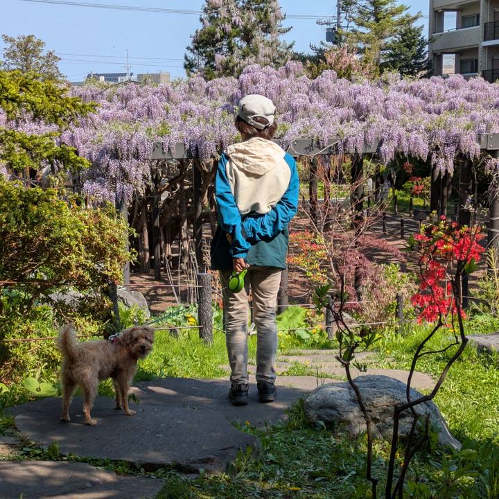 05b64a11 1dab 4c11 a4c0 e55f209c29dd 1747871071545