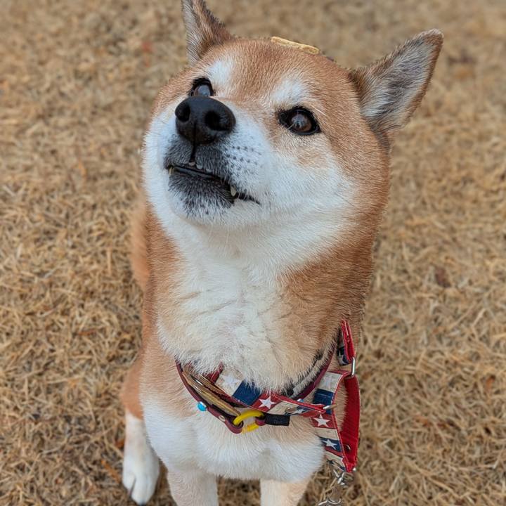 05b6668d 7dc5 4f02 9a71 7d8a37d8d478 1737889861534