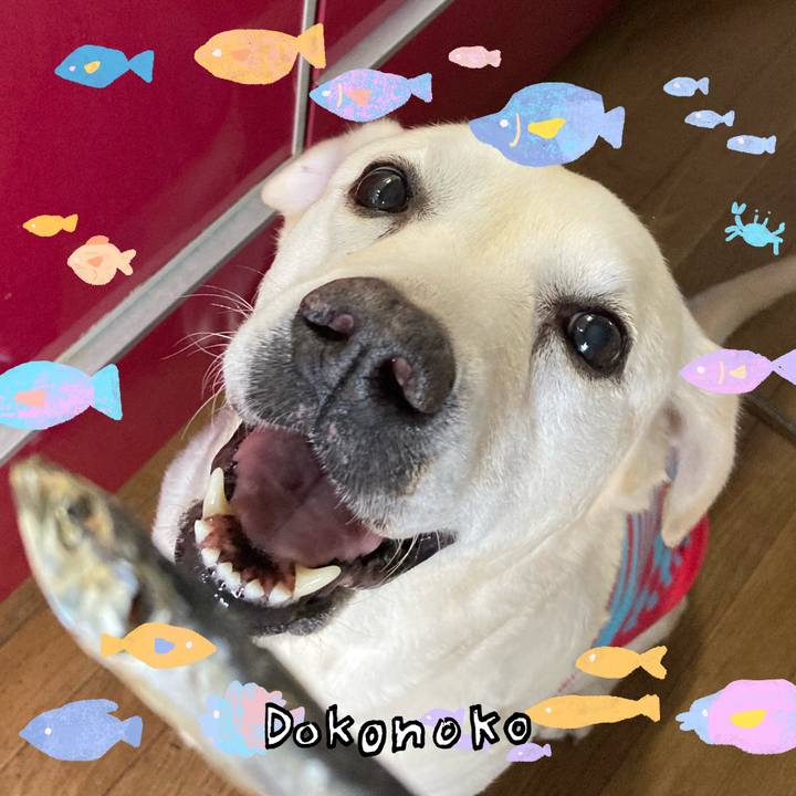 05b67590 f4ef 4a82 8722 64a29642bfaf 1755296051302