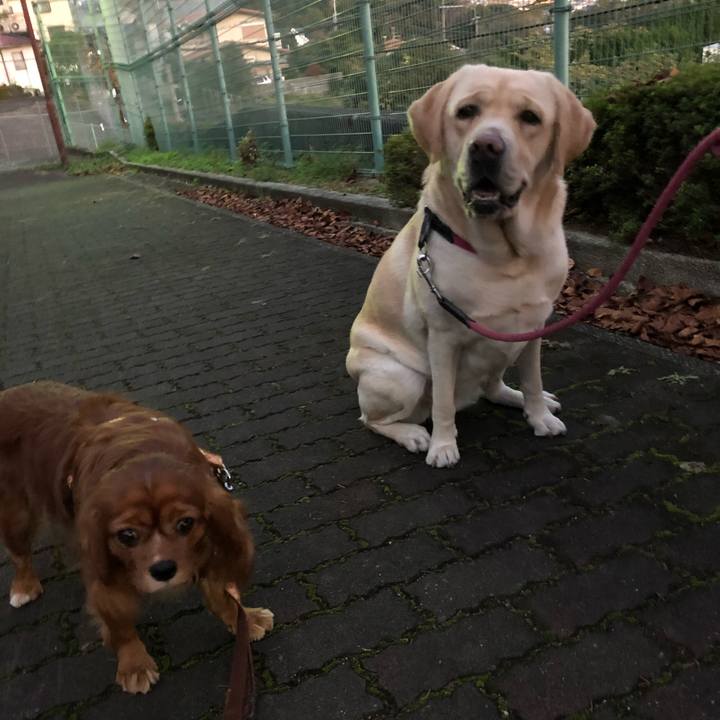 05b69d95 b477 4238 9a46 a66b2ffdb5f9 1606564724074