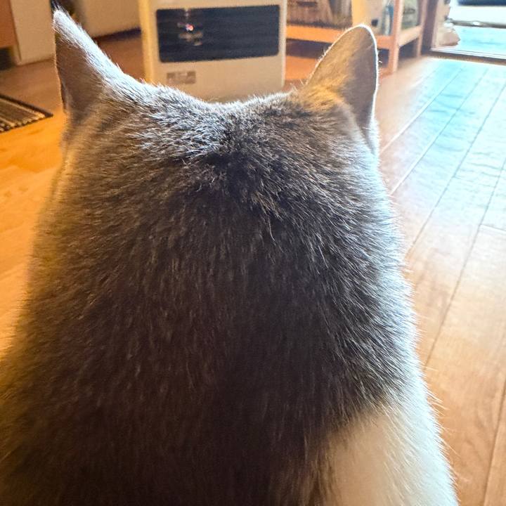 05b6b755 9310 4eef ac55 846e84a5a135 1766963522747