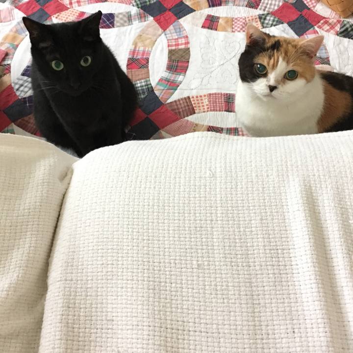 05b6d48c 974c 4879 9cd7 22168394e839 1552046599539